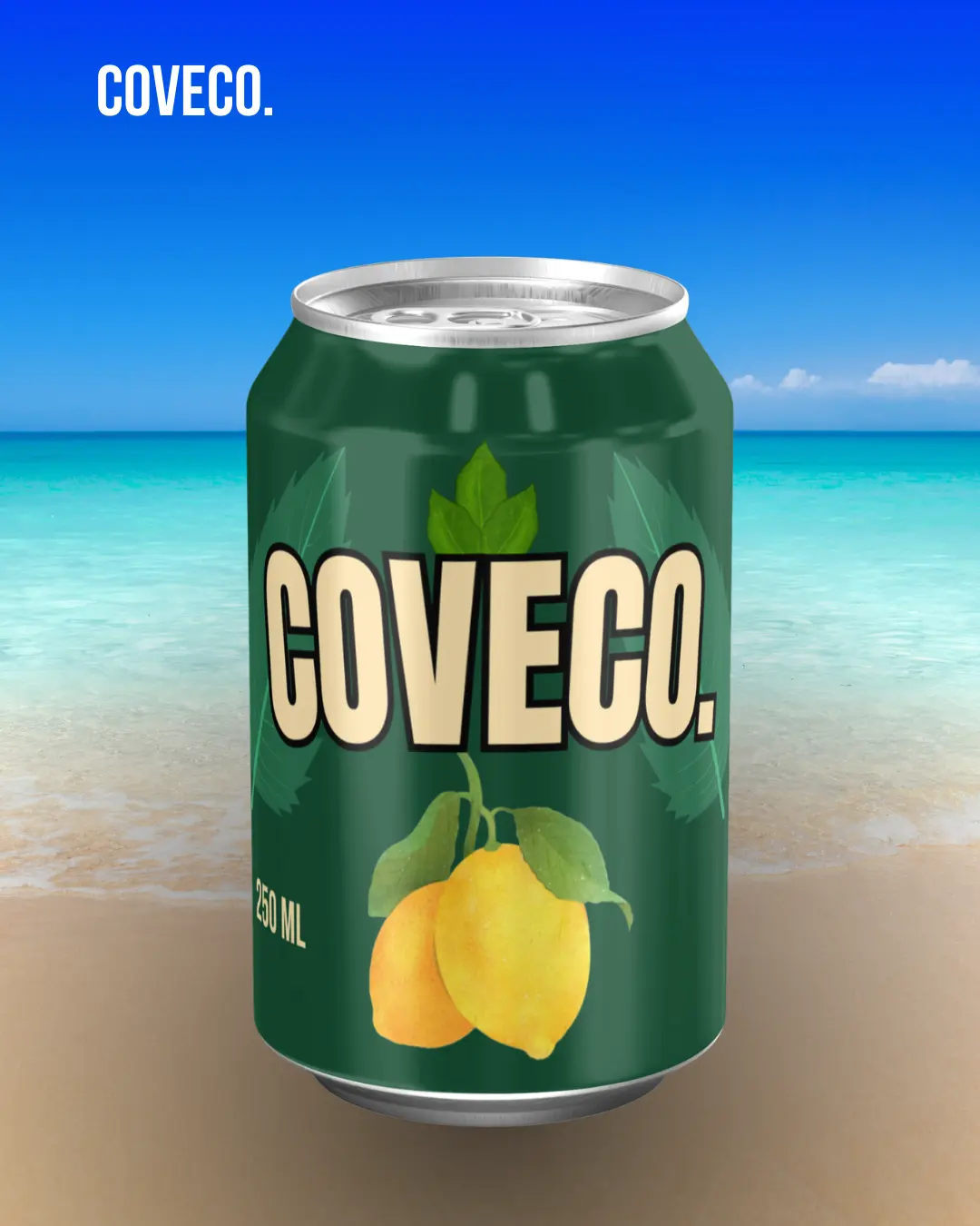 portfolio coveco
